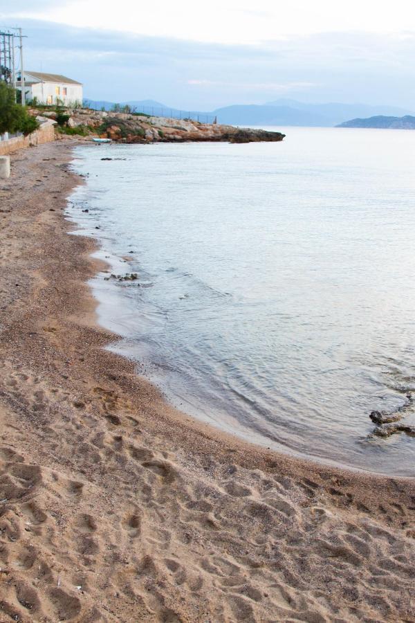 Apartament Seaside *